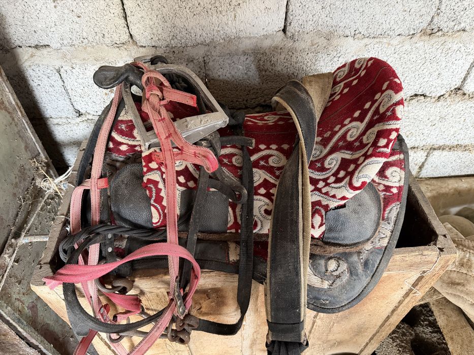 Ер токым комлект