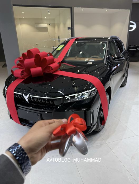 Voyah free Apollo tech 210