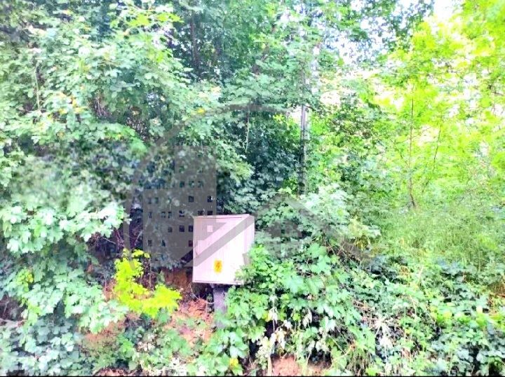 Продава се Парцел в Варна, м-т Акчелар - 1200 кв.м за 89 €/кв.м - Снимка #2