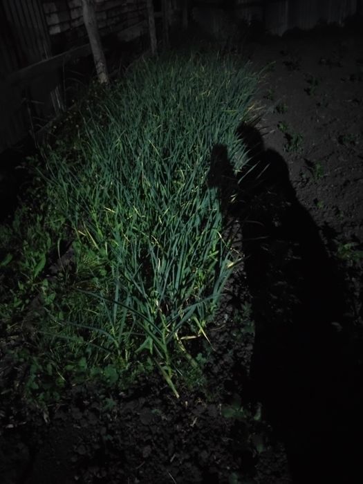 Продам Дом дом дом