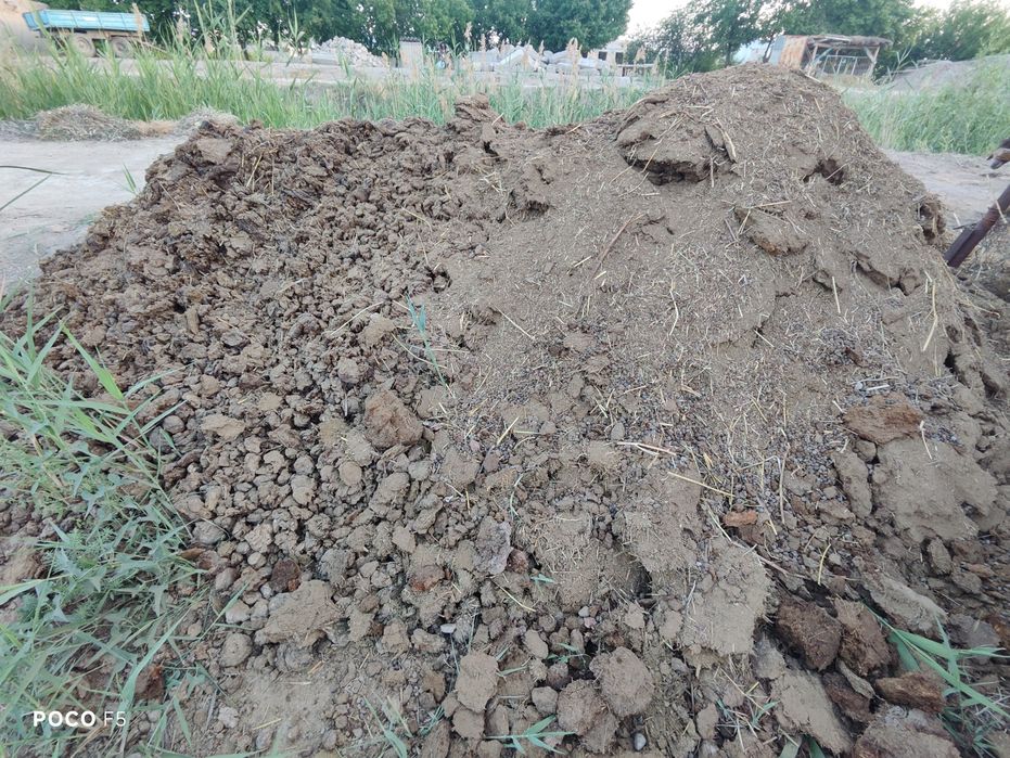 Nuri bor tekinga