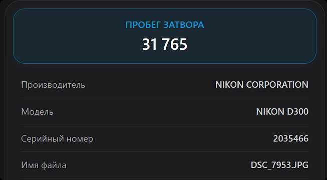 Фотоаппарат Nikon D300 с объективом 18-200