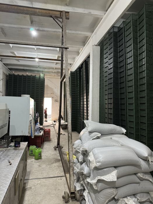 Plasmassa yashiklar sotiladi. яшиклар сотилади