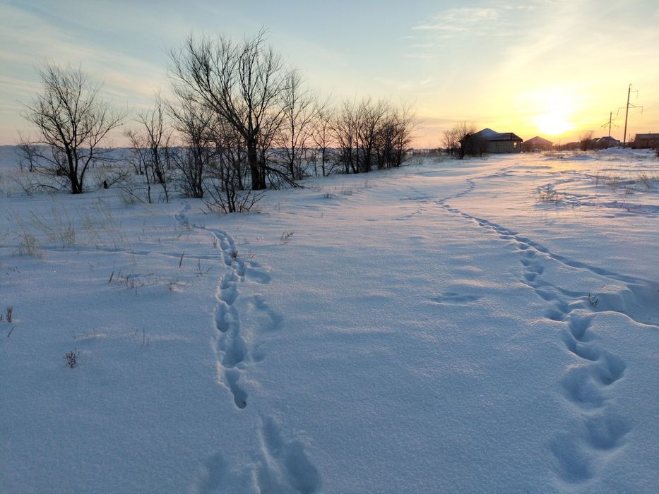 Продам участок 10 соток