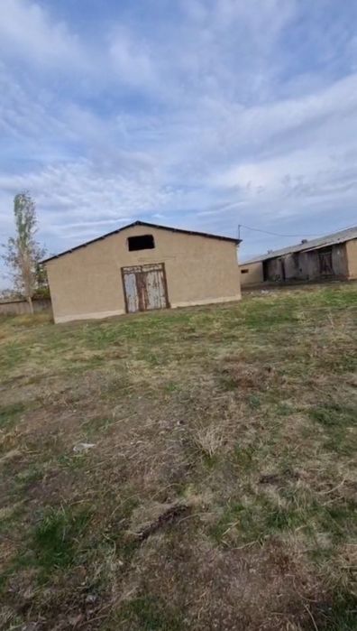 Товук ферма сотилади 2 гектар Продаётся земля 2 гектар