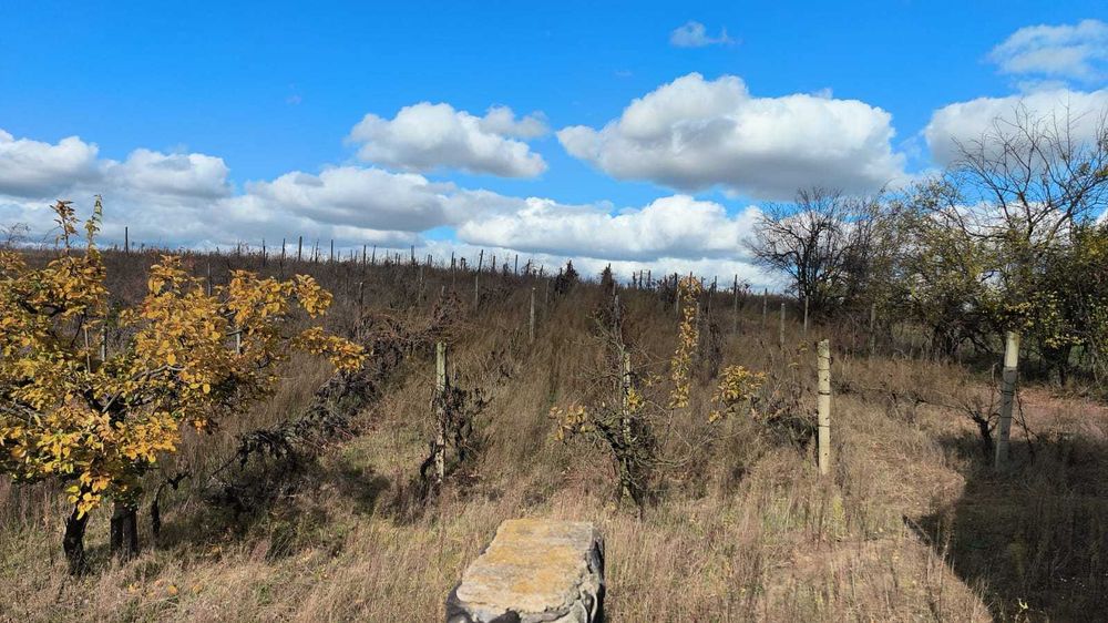 Casa de vanzare valea lui mihai