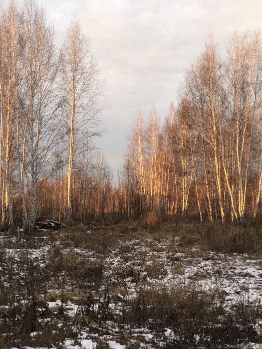 Земельный участок