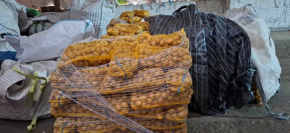 Картофи за консумация и семе