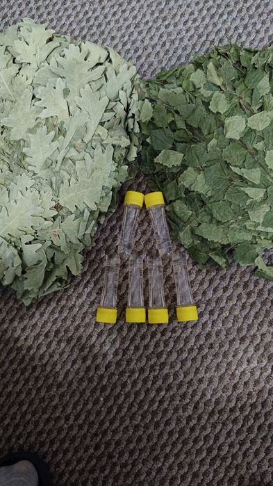 Масла хвои и веники