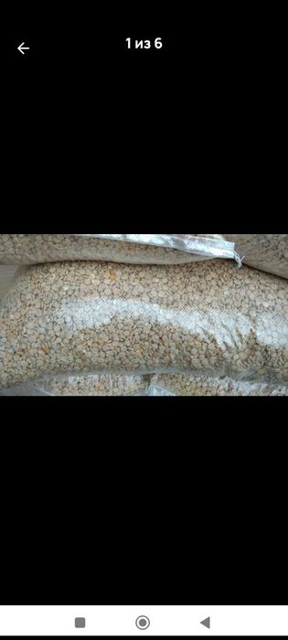 Горох- плющенный .