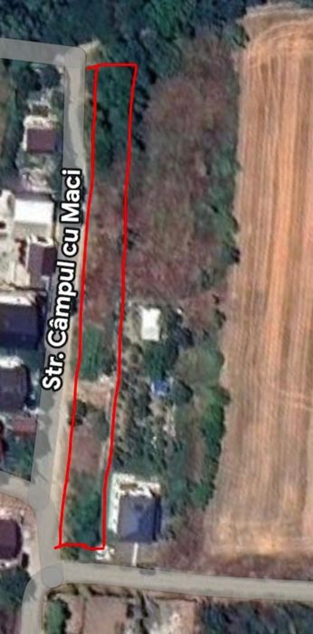 2000 mp Campul cu Maci Magurele