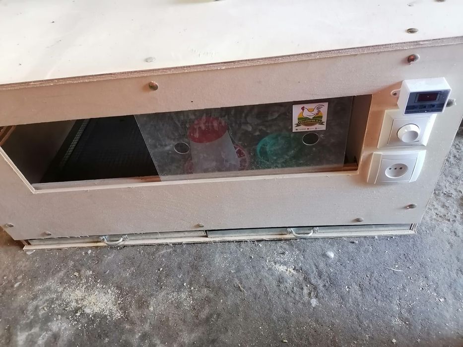 Брудер для цыплят продается