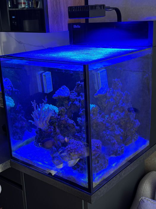 Морски аквариум Red Sea Maxx Nano G2 XL