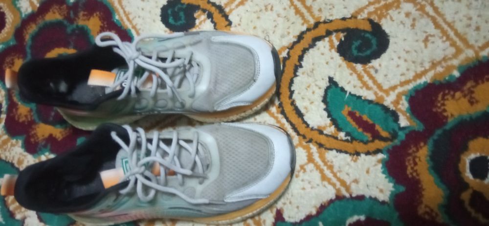 Жудаям сифатли красовка