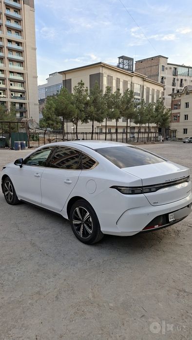 Byd Chazor full 1200