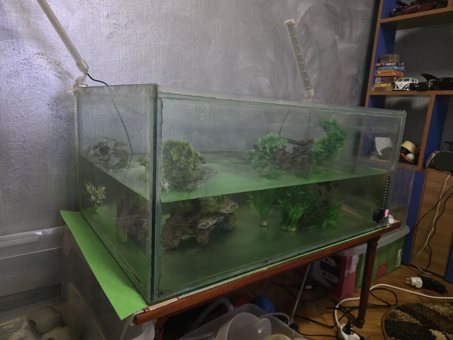 De vanzare acvariu cu pesti