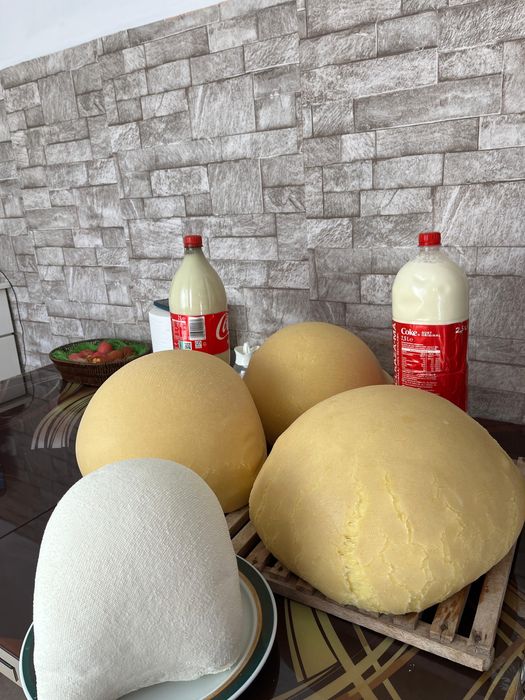 Vand branza , urda …