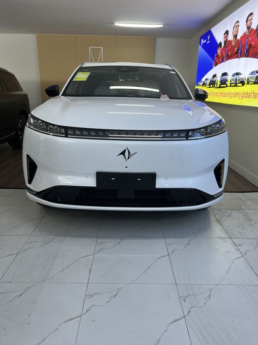 Dongfeng 008 ELEKTR