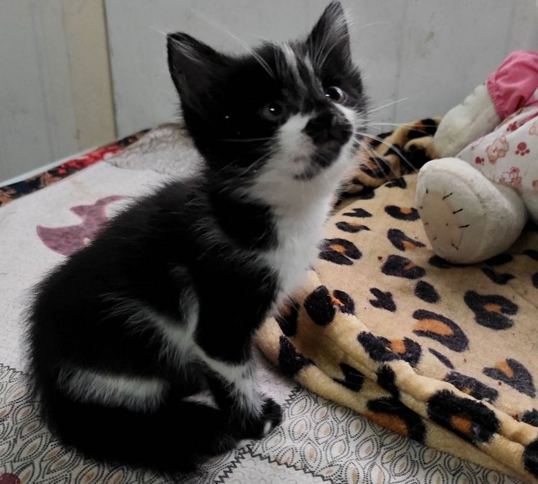 Мальчик 1,5 месяца