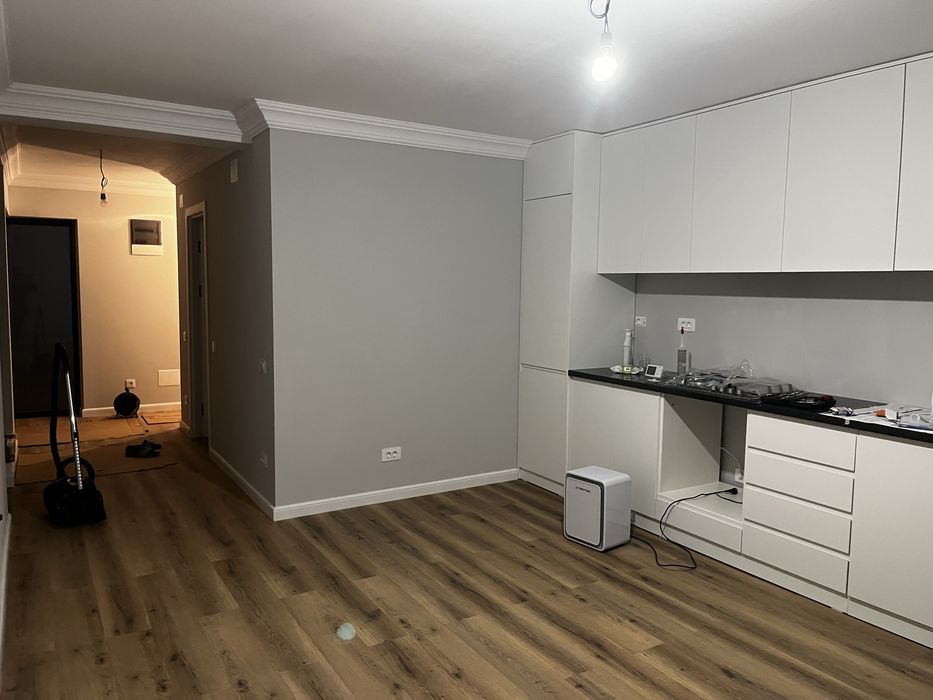 Casa Hlincea P+1, strada Petru Schiopu 404 mp teren