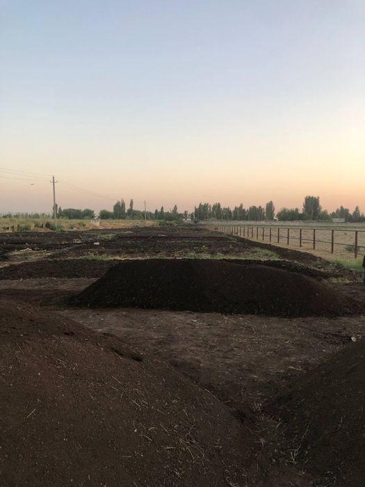 Biogomus mahsuloti. Qancha hohlasela shuncha bor.