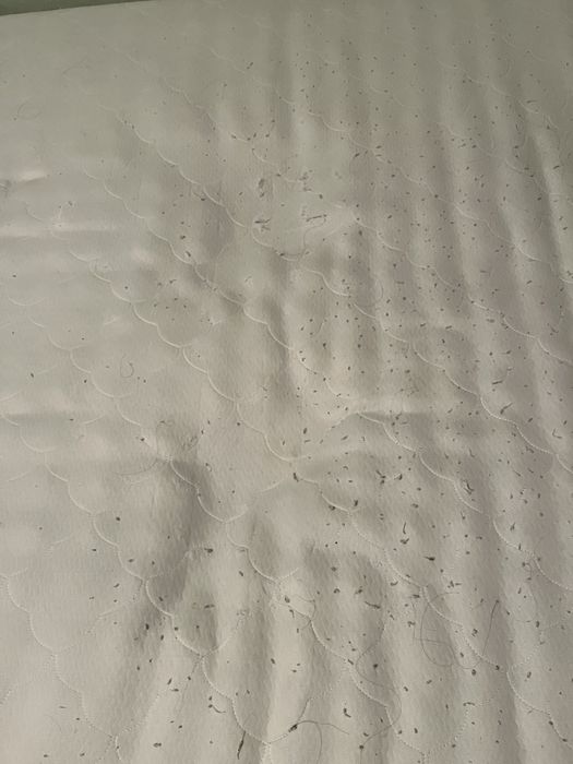 Отдам матрас бесплатно