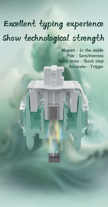 Switch-uri  Magnetice  GATERON jade