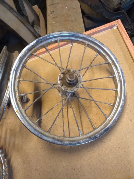 Pegas mini pegas soim