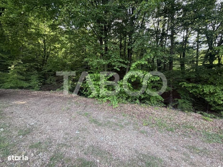 Teren intravilan 1000 mp front stradal 40 m langa Partia de Ski Dragus