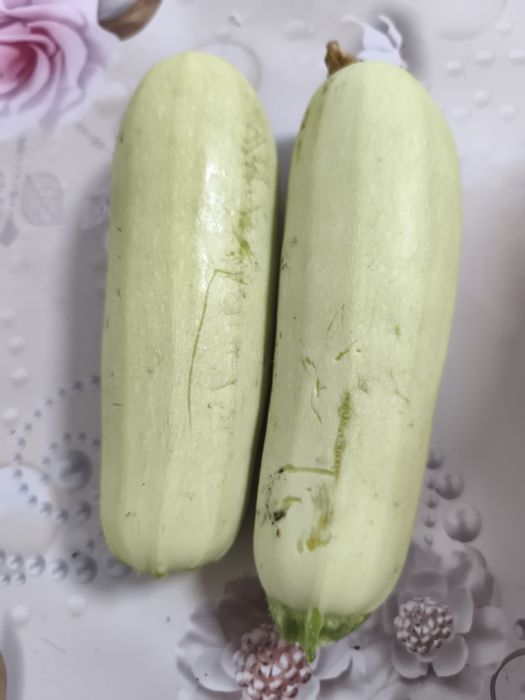 Продаются кабачки