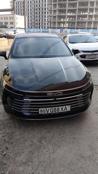 Byd chazor 3-poz 2024/25