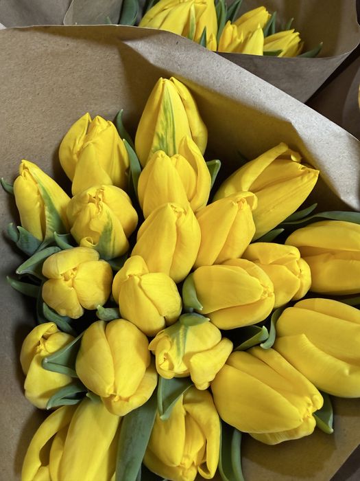 Тюлпаны на 8 марта