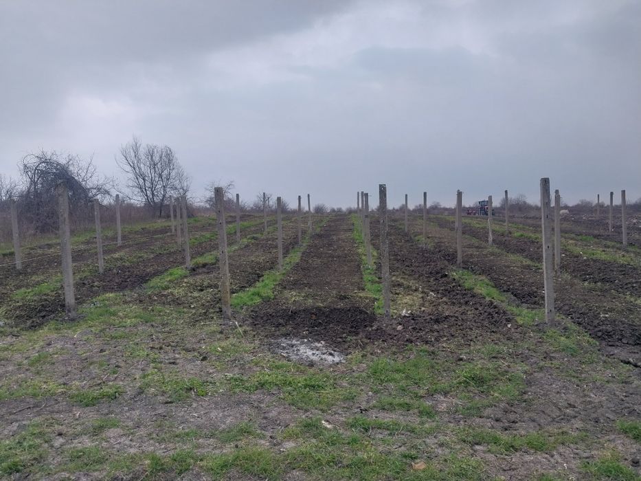 УСЛУГИ със трактор, Мото фреза, косачка и свредел