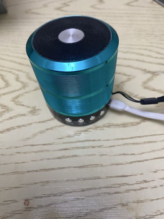 Bluetooth колонка WS-887 — срочно
