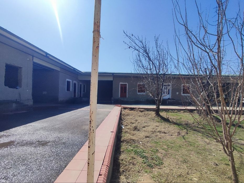 Уч Арик Шукур сомса орка кучаси