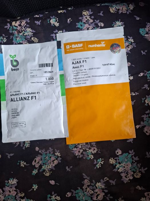 Семена огурцов аякс альянс