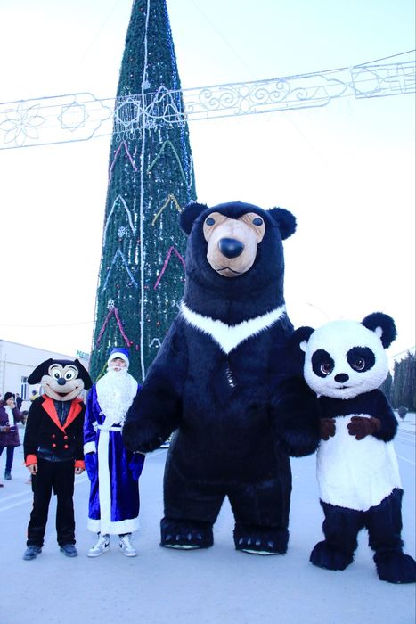 Ростовая Панда продаётся Панда сотилади