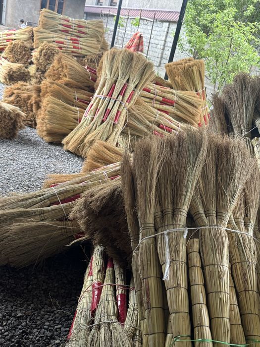 Веники сыпырғы сорго