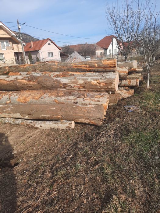 Vând lemn de foc fag