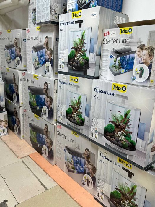 Аквариумистика в ЗООМИРЕ