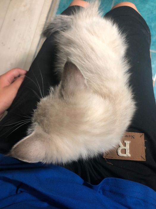 Porno jinsiy aloqa ogli onani yomon xulq-atvori uchun jazolaydi