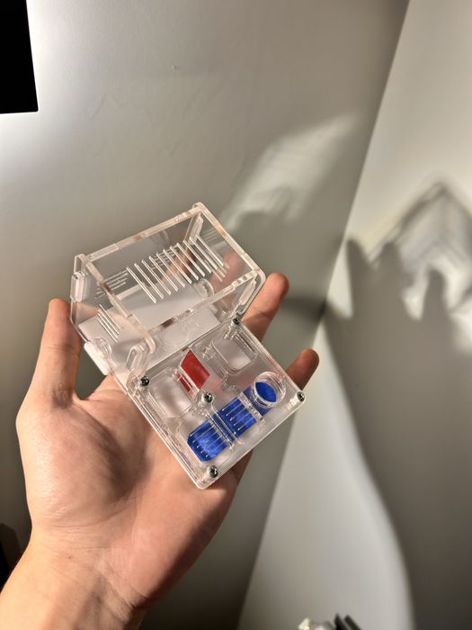 Формикарий для муравьев