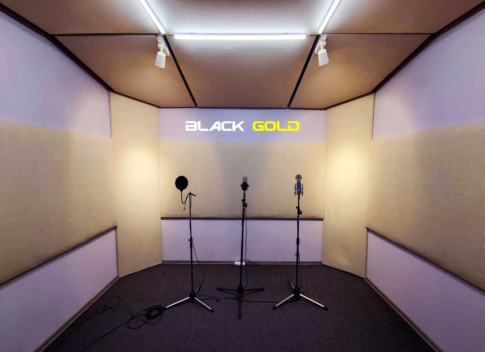 Акустика и дизайн помещений!