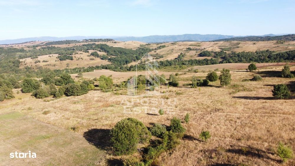 Teren de 50.000mp, priveliste panoramica spre munte si lac, Hunedoara
