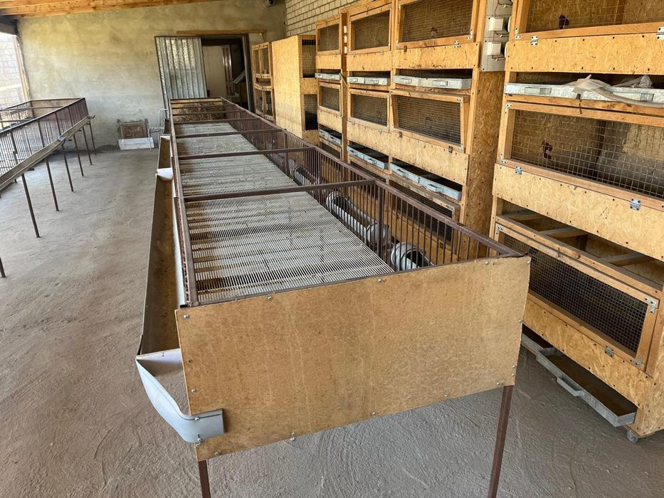 Продам брудера комплект