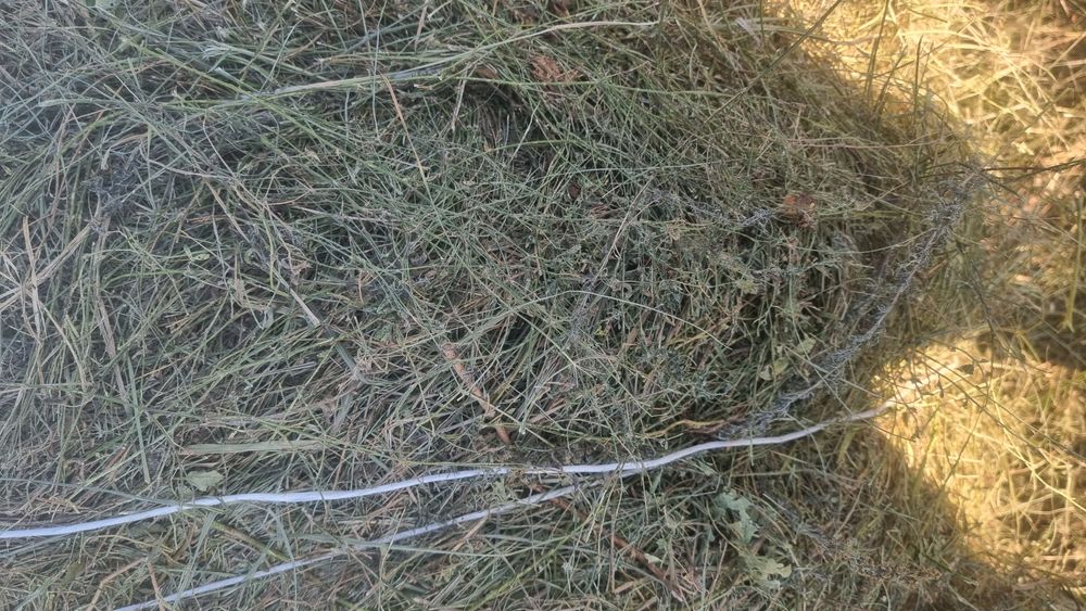 Продам сено рулон