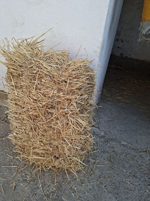 Бидай саман малга