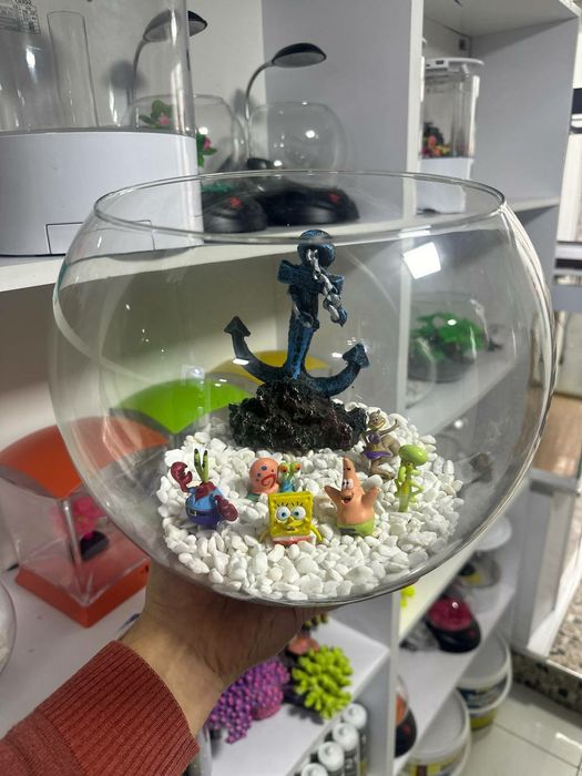 Dumaloq Akvarium New