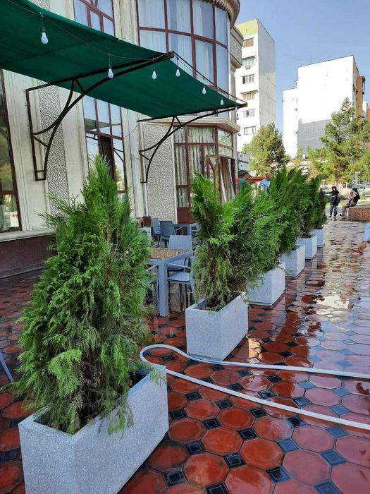 Гул тувак, вазон, кашпо, горшки, клумбы из бетона