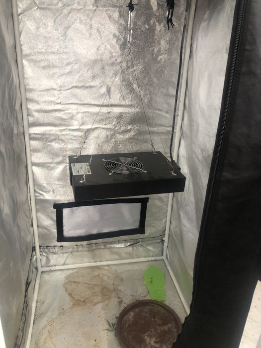 Гроубокс/гроутент